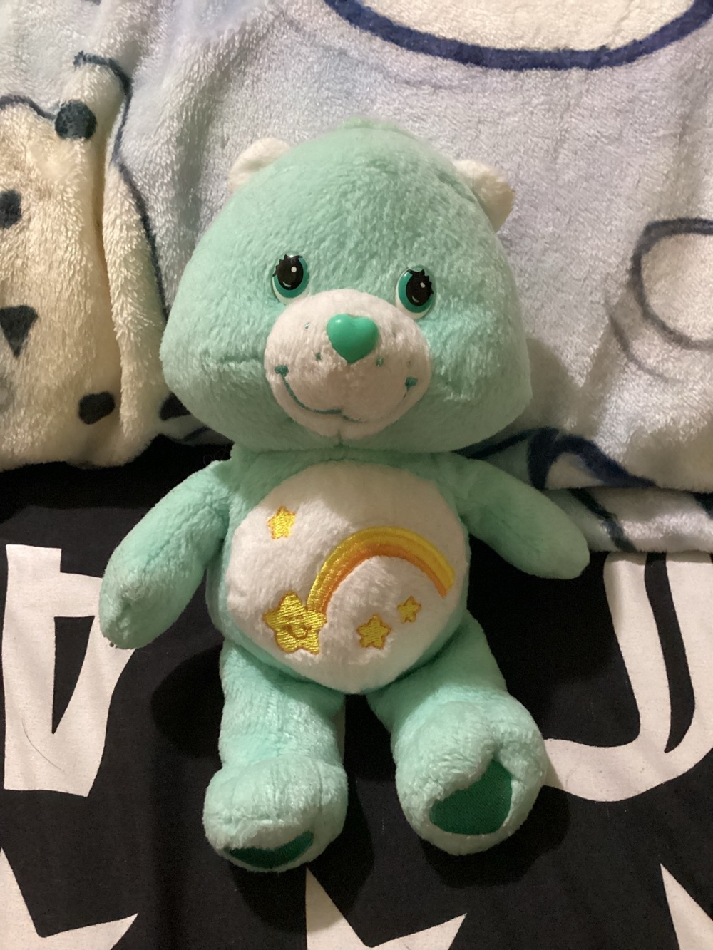 Vintagey care bear-Plush Mint Green Rainbow care Bear Soft Stuffed plushy